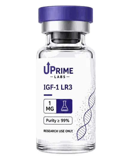 IGF-1 LR3 vial